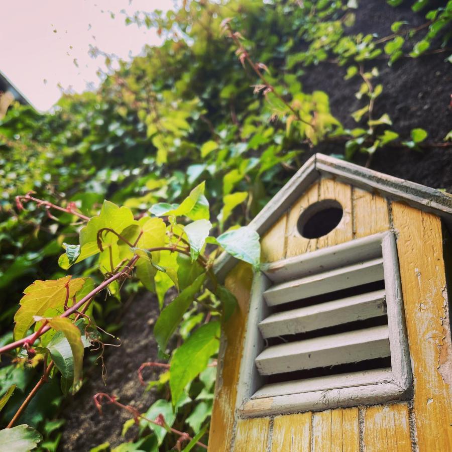 La Maison Aux Murs Anciens Et Ses Chambres Tarbes Zewnętrze zdjęcie